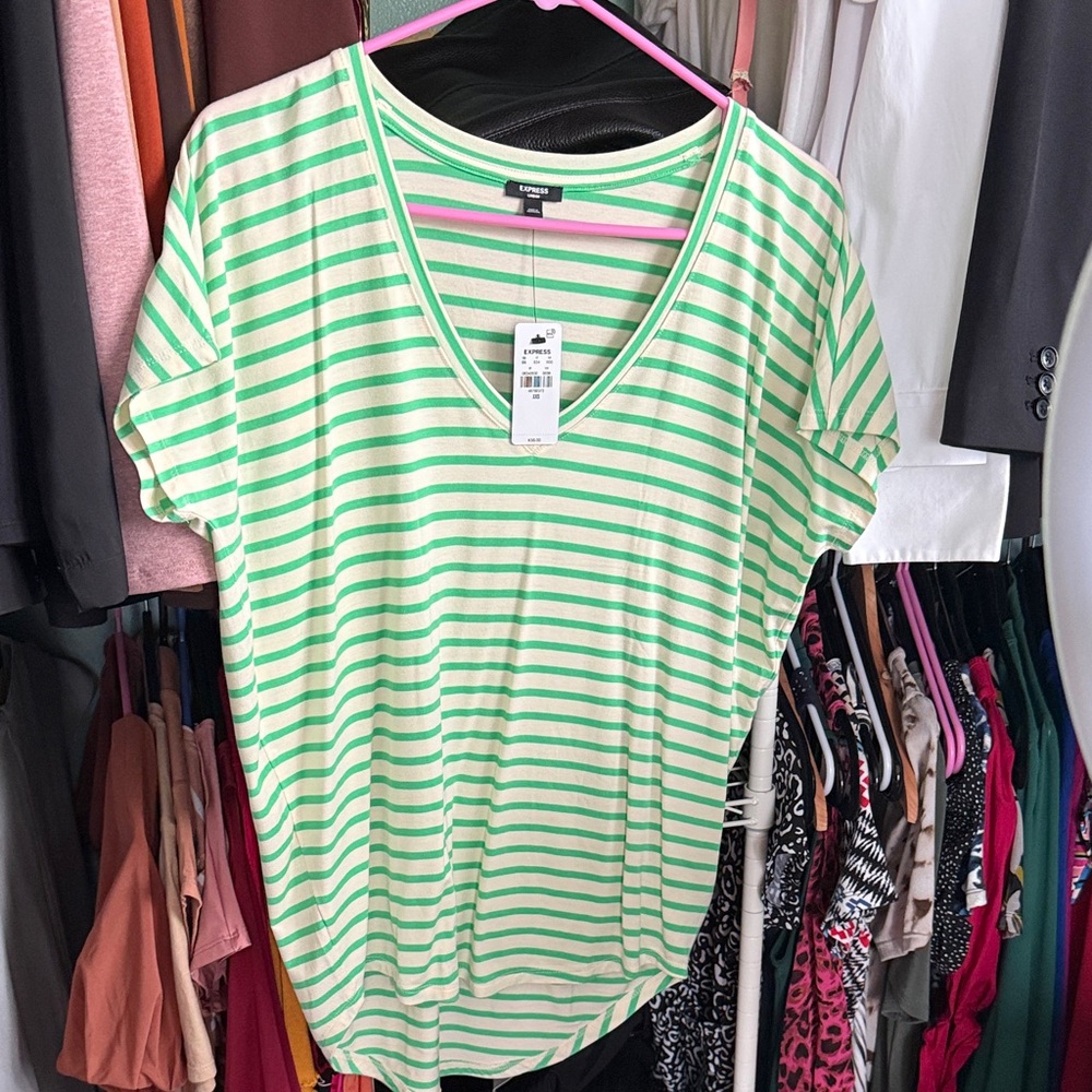 Express Mint and White Striped V-Neck Tee